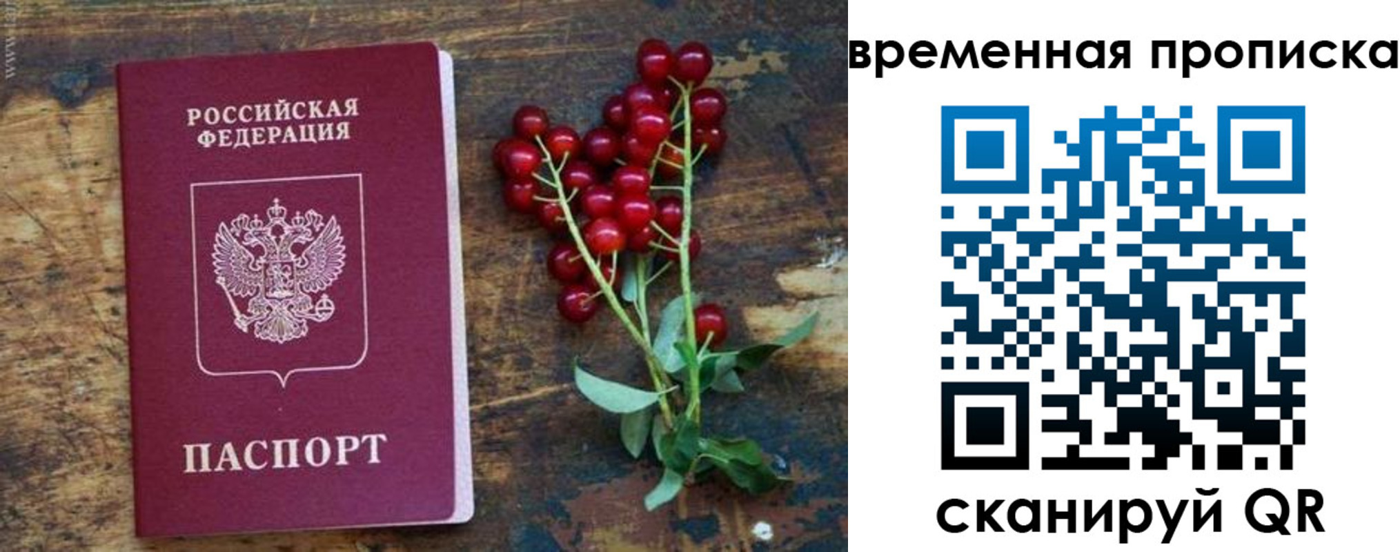 временная регистрация гарантия в Балаково